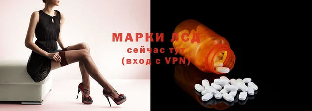 стафф Арсеньев