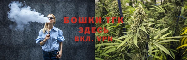 стафф Арсеньев
